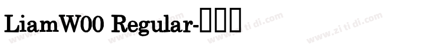 LiamW00 Regular字体转换
